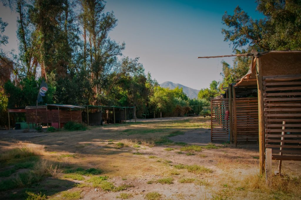 Patio y espacios del camping